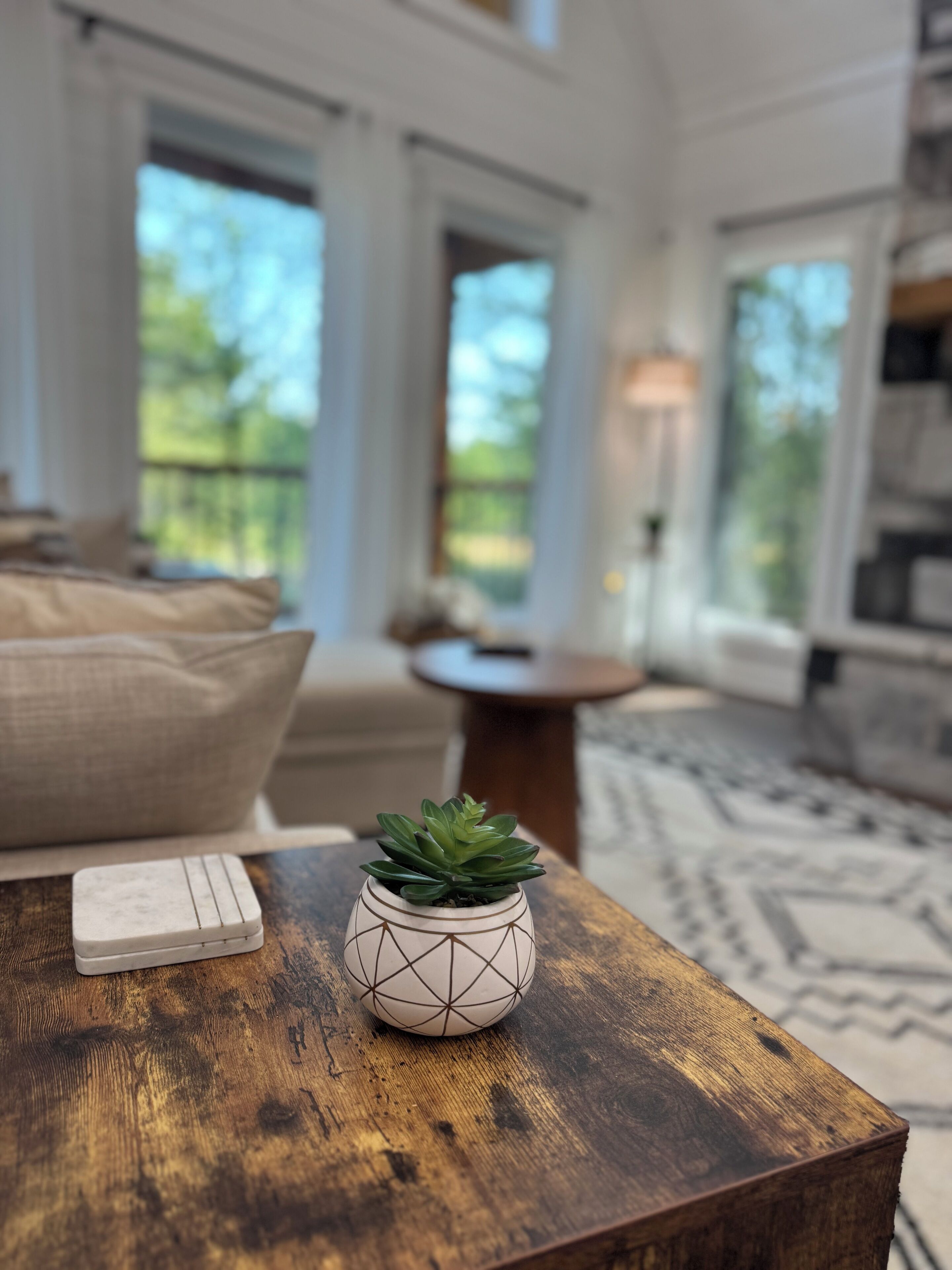 Un salon chaleureux avec une table basse en bois, une petite plante en pot et un canapé beige.