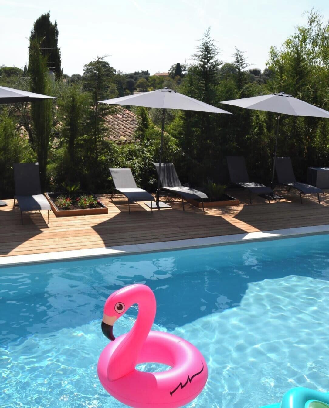 A swimming pool with lounge chairs and umbrellas, surrounded by greenery.