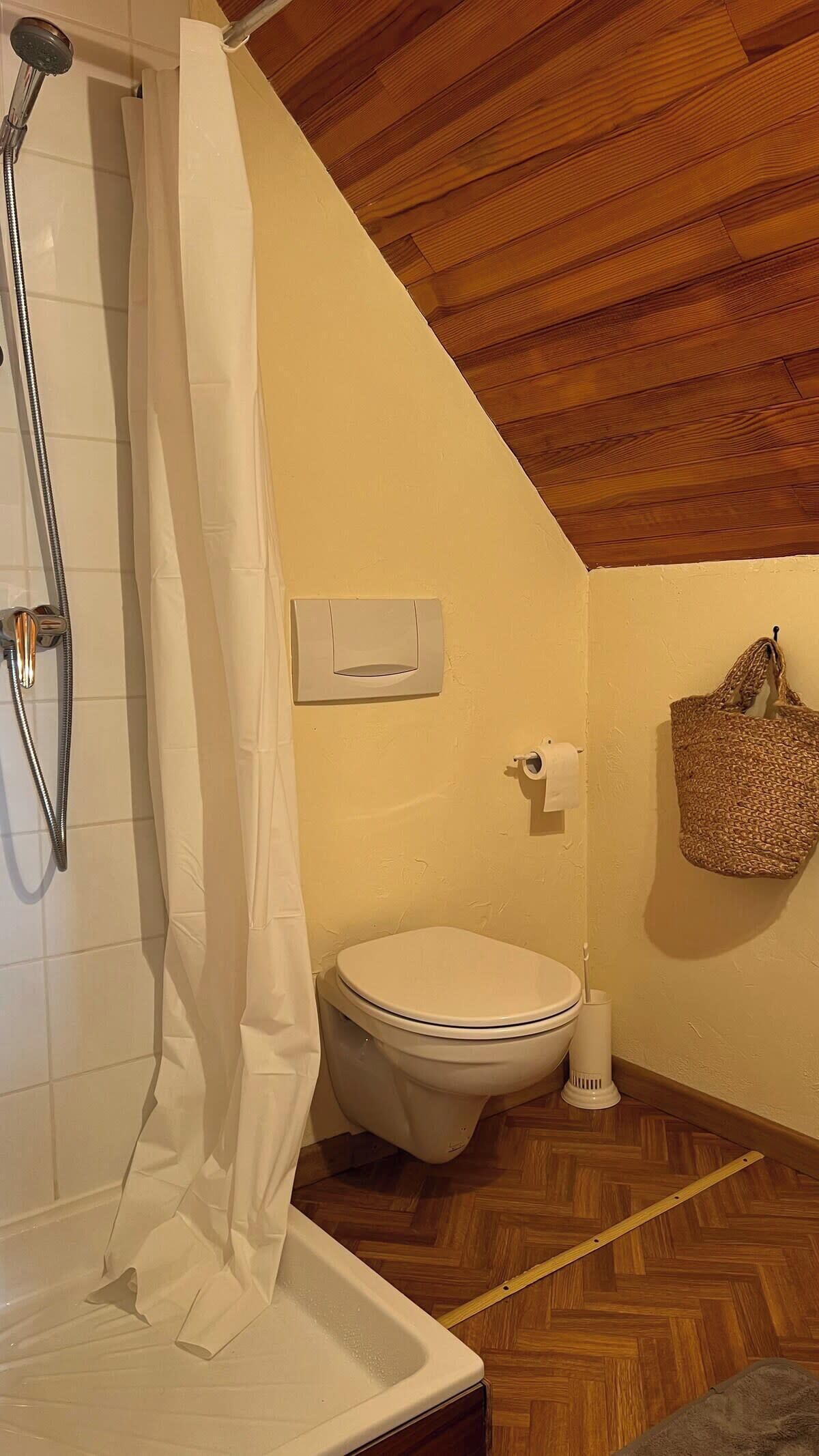 Une salle de bain avec douche, toilettes et plancher en bois.