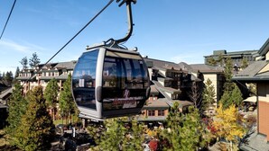Une télécabine portant l’inscription « Lac céleste » surplombe un quartier résidentiel avec ses maisons et ses arbres.