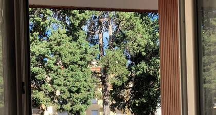 2-star studio, 5 minutes' walk from the town center and thermal baths