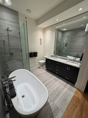 Douche, séchoir à cheveux, savon, papier de toilette