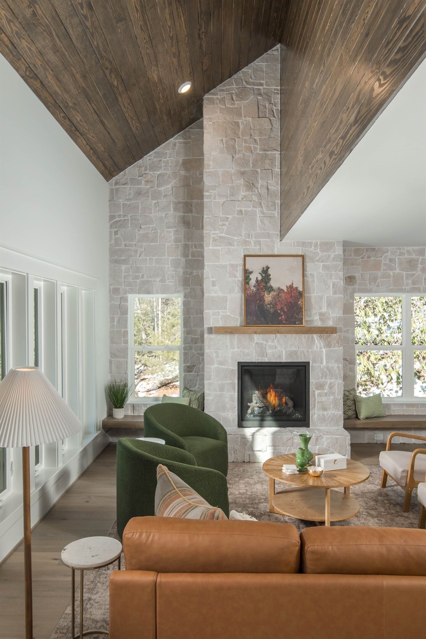 Smart TV, lareira, livros