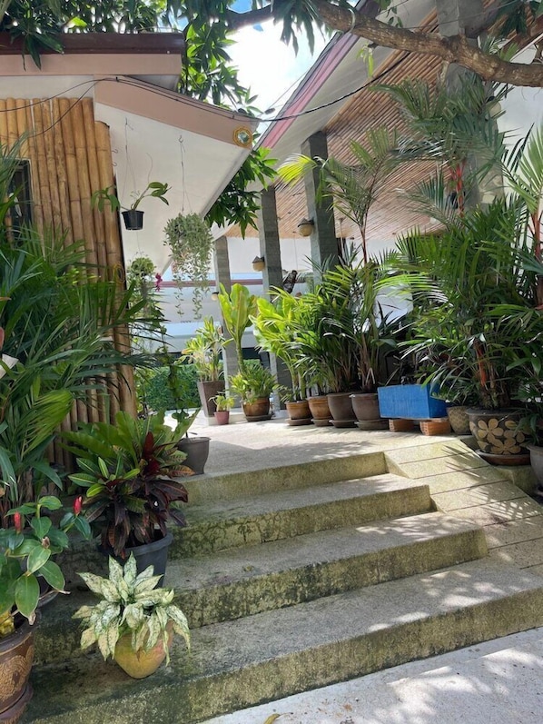 A covered outdoor area with steps leading up to a building, surrounded by various potted plants. - Lotus Bleu Resort & Restaurant (Rawai)