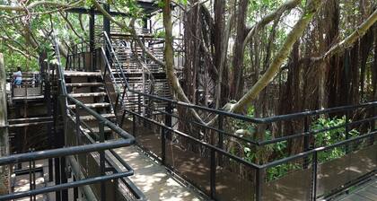 M Garden Business Hotel