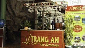 A reception desk at Trang An Eco Homestay with a rustic stone wall backdrop, a hanging light fixture, and a potted plant. - Trang An Eco Homestay Ninh Binh (Hoa Lu)