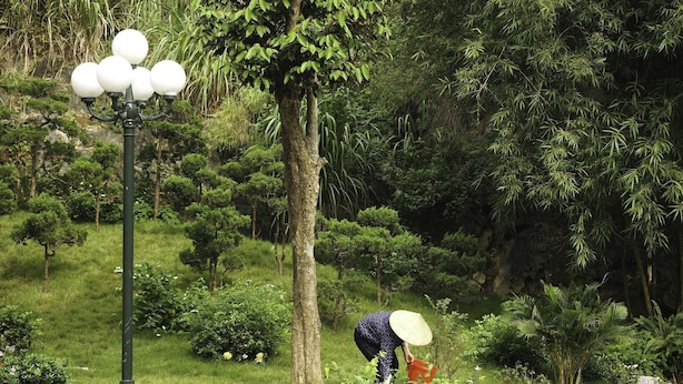 A well-maintained garden with a lamp post and a person tending to plants. - Trang An Eco Homestay Ninh Binh (Hoa Lu)