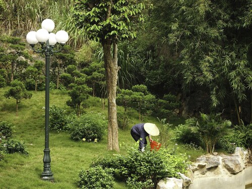 Trang An Eco Homestay Ninh Binh