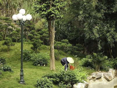 Trang An Eco Homestay Ninh Binh