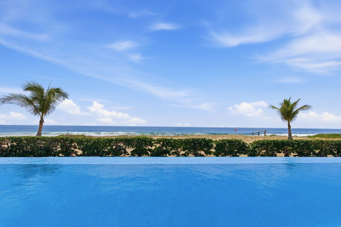 Ein Pool mit Blick auf den Ozean und Palmen.