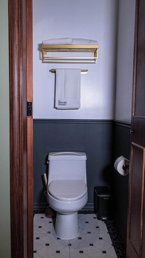 A bathroom with a toilet, a towel rack with a towel, a trash bin, and a toilet paper holder. - The Green Escape Suite (Mexico City)