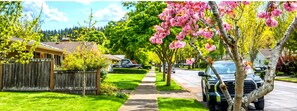 Property grounds - Family Home in the Friendly Neighborhood (Eugene)