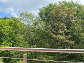 A metal railing with a view of dense green foliage in the background.