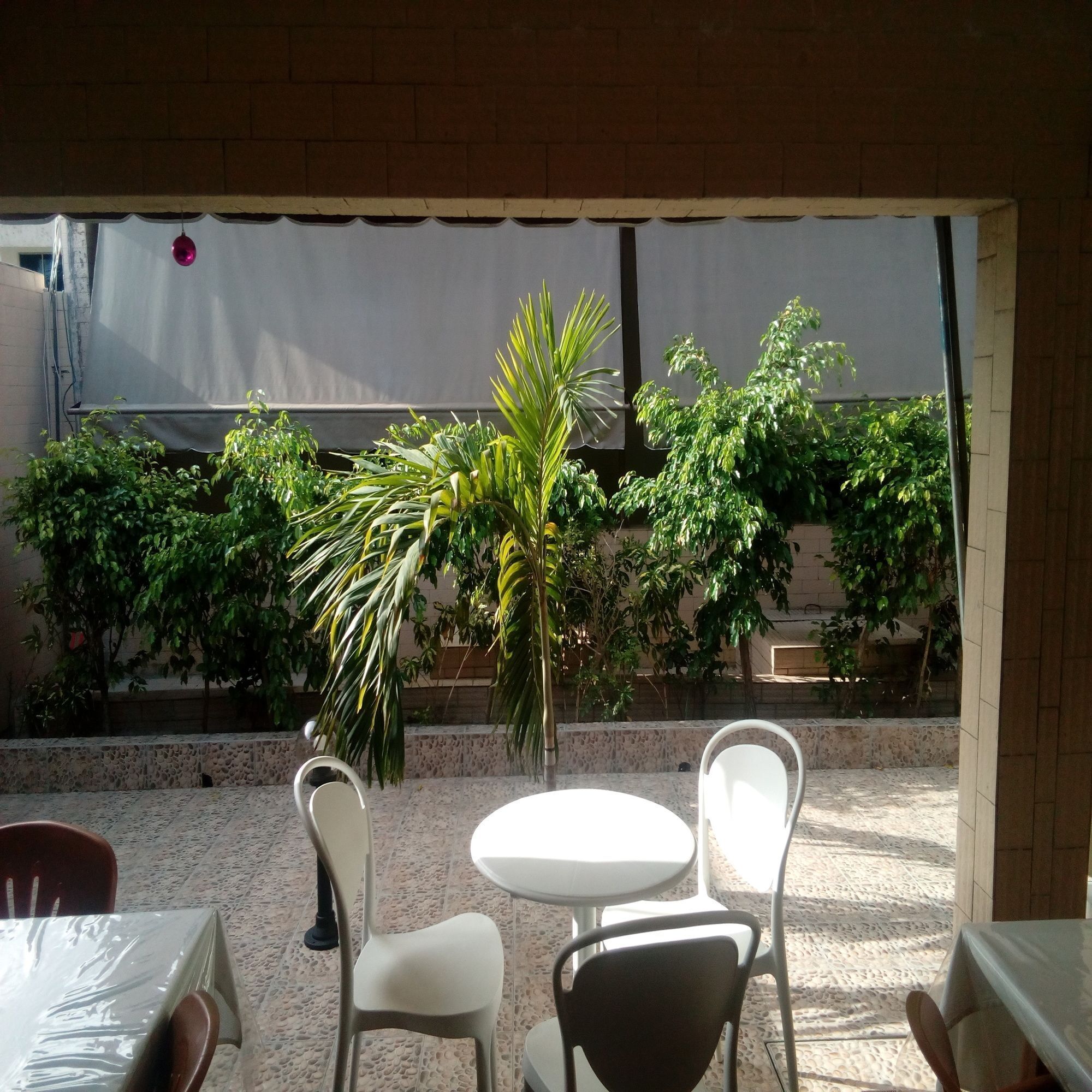 An outdoor patio with a table and chairs, surrounded by potted plants and a brick wall.