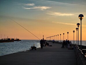 Miscellaneous - For Ever (Fiumicino)