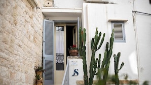Une rue étroite bordée d’un immeuble qui présente un escalier orné d’un panneau en forme de « S », une fenêtre avec des volets et un cactus.