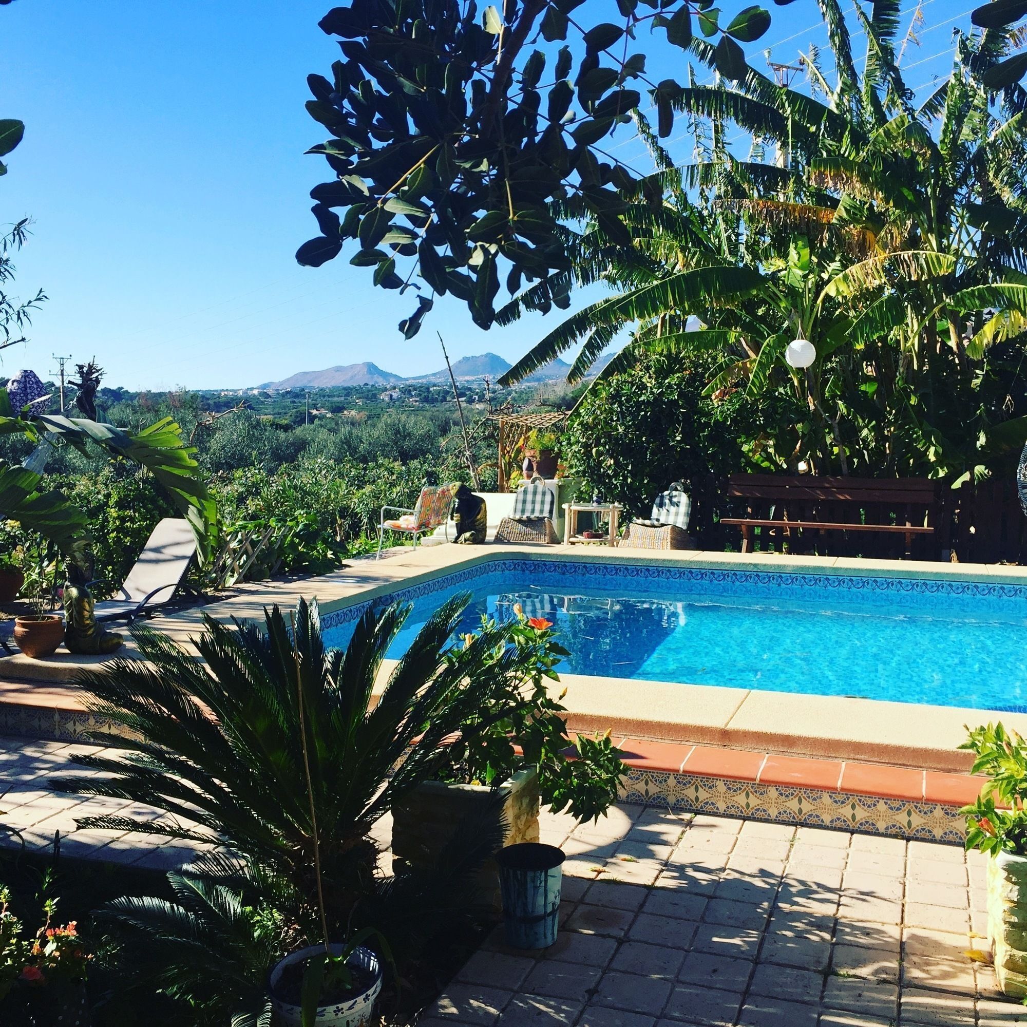 حمّام سباحة خارجي