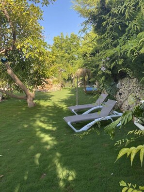 Property grounds - Altea Paradise B&B - Adults Only (Altea)