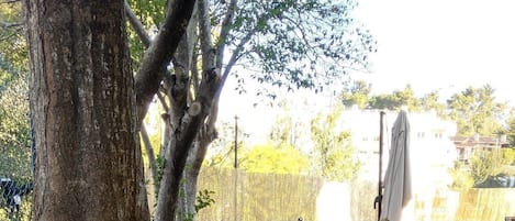 숙박 시설 구내