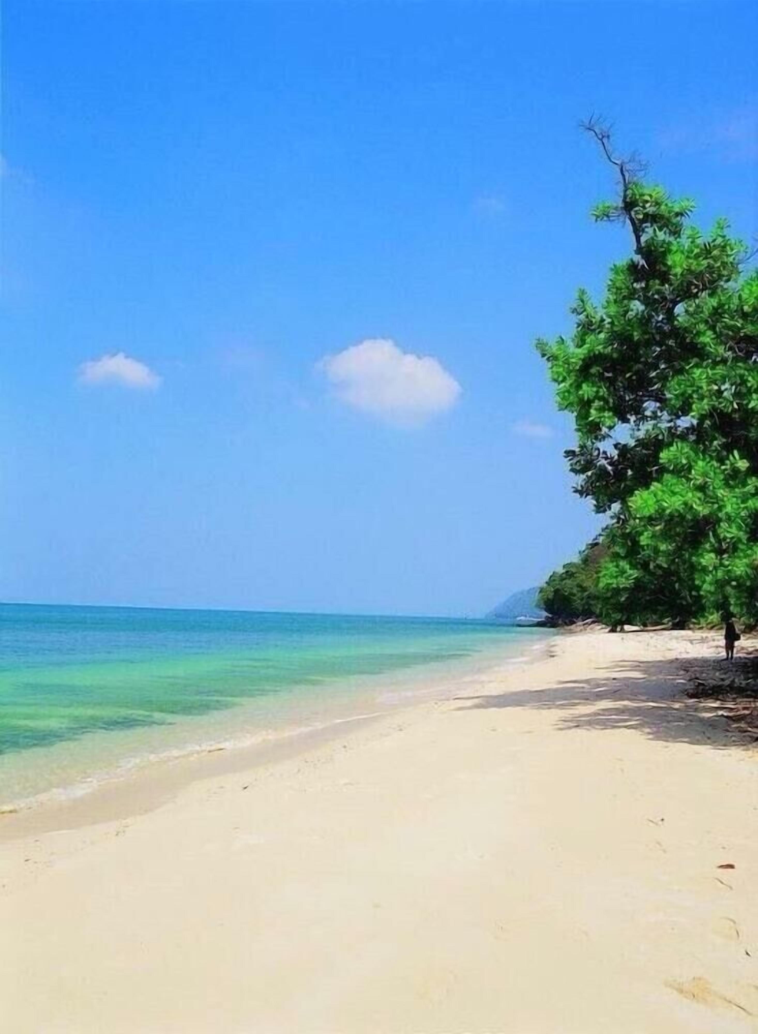 A beach with clear blue water, a sandy shore, and a few trees.
