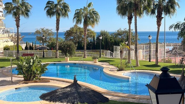 A pool area with a view of the sea, surrounded by palm trees and a well-maintained lawn.