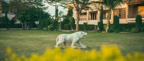 Jardines del alojamiento