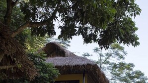 A yellow building with a thatched roof and a staircase leading to a balcony. - Mai Chau Nature Lodge - Hostel (Mai Chau)