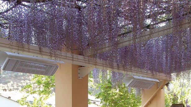 An outdoor dining area with tables set for two, covered by a pergola with hanging purple flowers. - Agriturismo Villanova (Levanto)