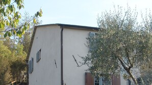 A building with a white facade, multiple windows with shutters, a cobblestone pathway, and surrounding greenery. - Agriturismo Villanova (Levanto)