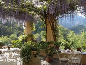 รับประทานอาหารกลางแจ้ง