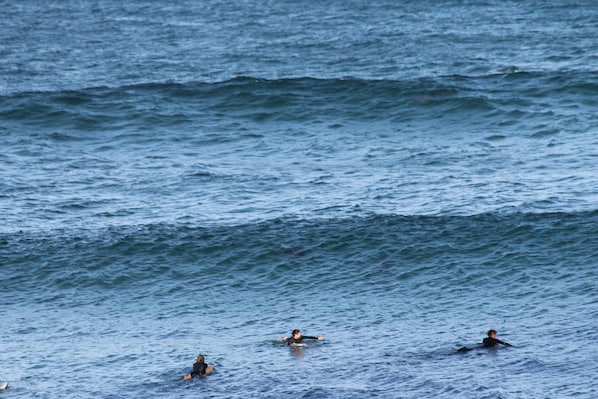Udsigt over havet med tre personer i vandet.