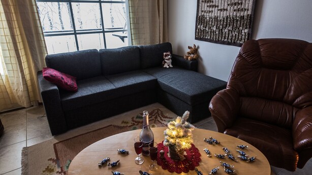 A living room with a dark grey sofa, a brown leather armchair, a small Christmas tree on a wooden coffee table, and a window with a view of bare trees. - Arctic Resort Delight (Rovaniemi)