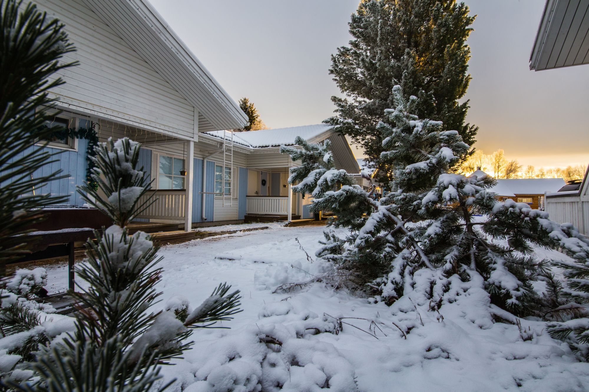 A snow-covered outdoor area with a house, a covered porch, and a snow-covered evergreen tree.