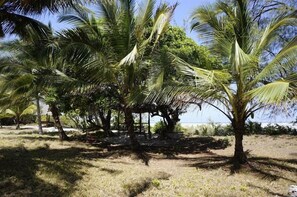 Property grounds - Pemba Lodge (Pemba Island)