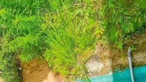 منوع