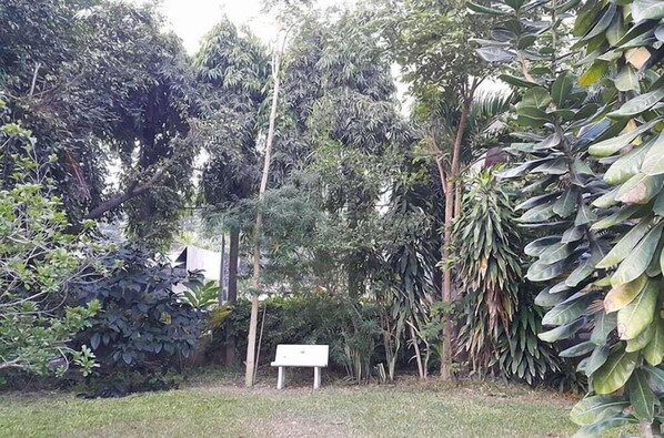 Property grounds - Phuphaya Hotel (Nakhon Ratchasima)