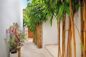 Een smalle steeg met aan de ene kant een rij bamboeplanten en aan de andere kant een stenen gebouw.