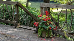 A wooden bridge with a railing, a potted plant with red flowers, and a natural landscape in the background. - Lakefront Event Venue: Wedding -Reunions -Retreats (Cedar Mountain)