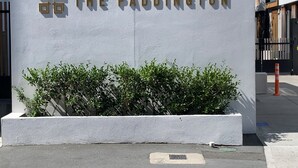 Une enseigne portant l’inscription « THE PADDINGTON » et agrémentée d’éléments décoratifs.