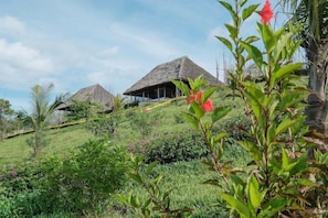 Property grounds - Jua Retreat - All Inclusive (Michamvi)