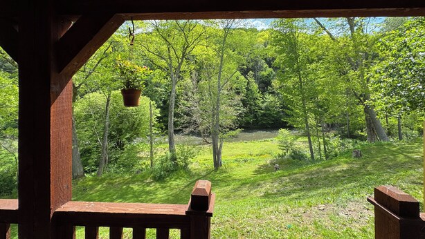 A wooden gazebo with a view of a lush green forest and a river. - cozy one-bed, one-bath cabin in Galeton, PA. Pine Creek within walking distance (Galeton)