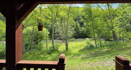 cozy one-bed, one-bath cabin in Galeton, PA. Pine Creek within walking distance