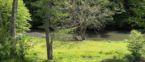 A natural landscape with a river, trees, and a grassy area with rocks.