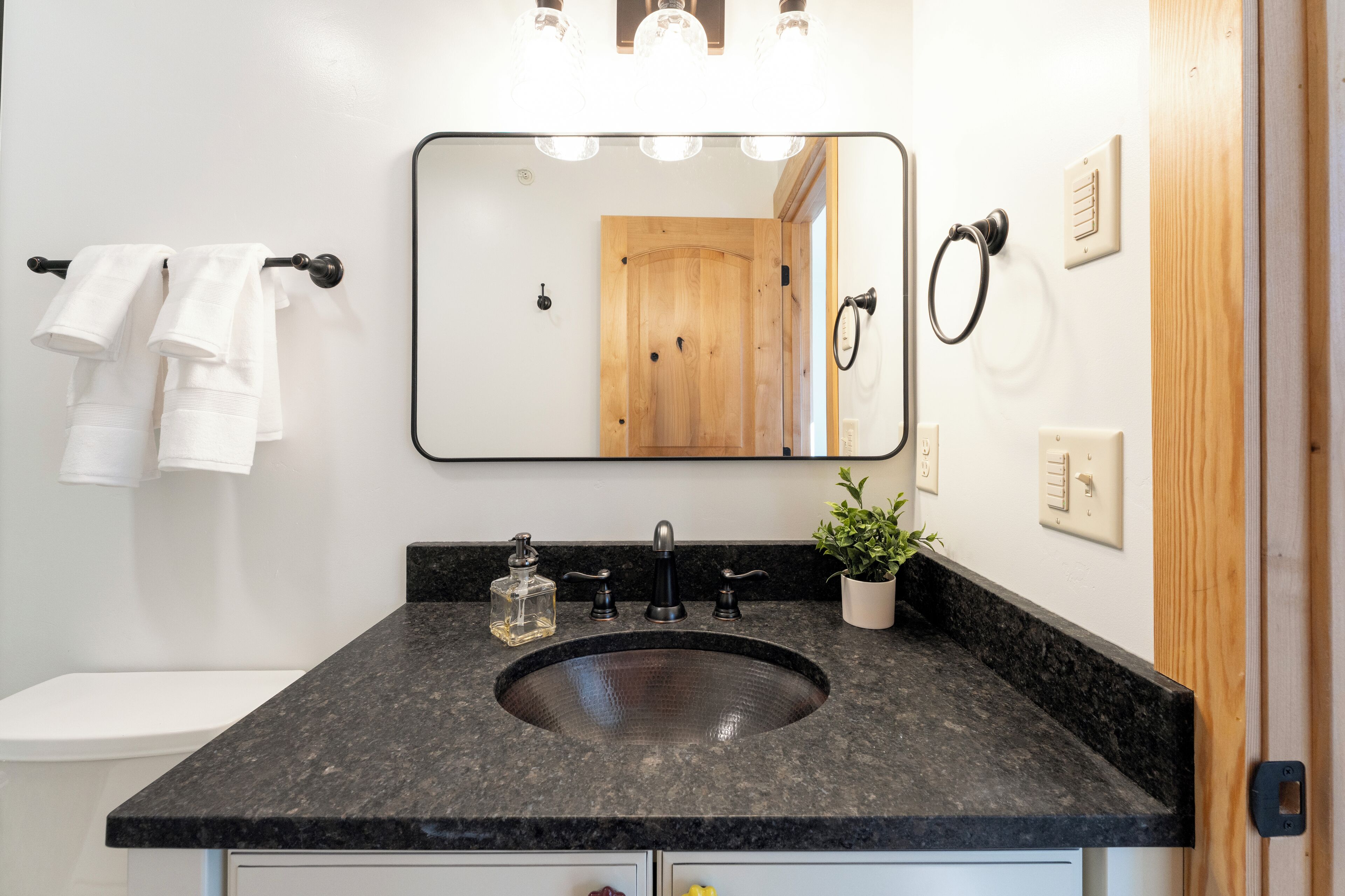 Une salle de bain avec un plan de toilette en granit noir, un lavabo en verre, un miroir, une porte en bois et une plante en pot.