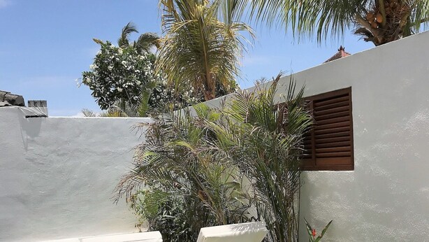 A patio area with white wicker furniture, a small round table, and a palm tree. - Ohana's Boutique Resort and Beach Lounge (Lembongan Island)