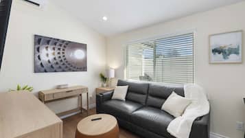 Smart TV, chimenea y libros