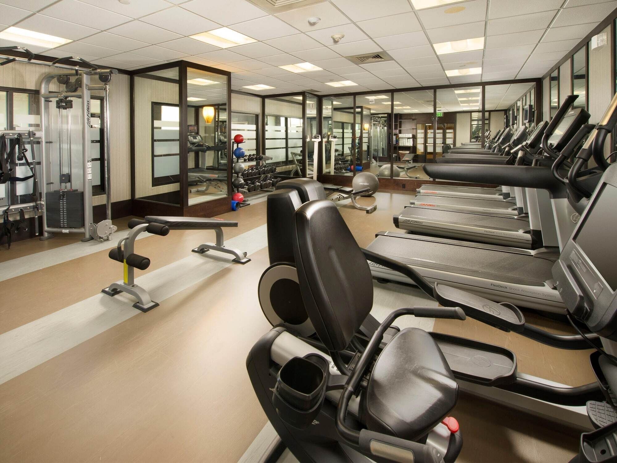 A gym with treadmills, weight machines, and a mirrored wall.