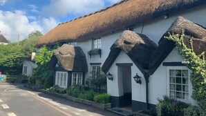 A traditional building with a thatched roof and white walls, featuring a quaint entrance and a small porch area. - Hoops Country Inn & Hotel (Bideford)
