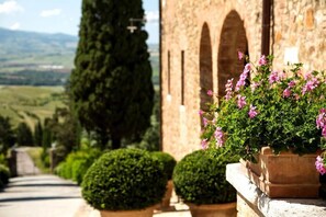 Property grounds - Castello Banfi - Il Borgo (Montalcino)