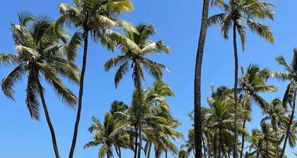 Spacious 3-bedroom condo in amazing Lauro de Freitas with AC and fitness room